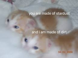 a blurry, low-resolution photo of two small orange & white kittens huddled together on a white surface. there is white text overlay over each of the kittens, the first reads 'you are made of stardust', the last reads 'and i am made of dirt'. there is a date stamp in the bottom right corner, it says '04.04.2008'.